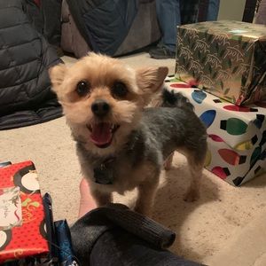 Meet your Posher, Jordan